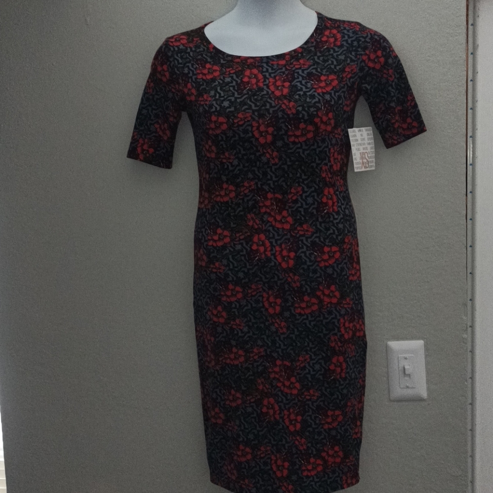 LuLa Roe floral dress